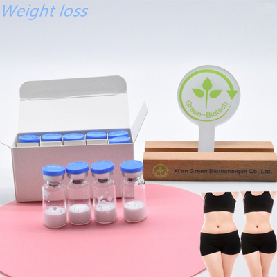 Tiêu chuẩn tiêm  Semaglutide chất lượng cao nhất cho xây dựng cơ thể