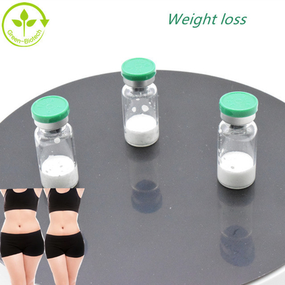 Tiêu chuẩn riêng Hormone tăng trưởng Độ tinh khiết cao 98%  Semaglutide