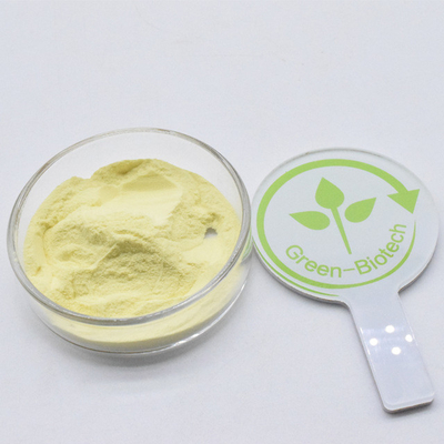 Phần lớn chất lượng cao màu vàng chất lượng thực phẩm chất hữu cơ Kava chiết xuất bột 30% 50%