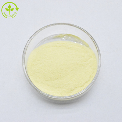 Chất lượng cao nhất 100% Kavalactones tinh khiết 30% chiết xuất rễ Kava chiết xuất Kava