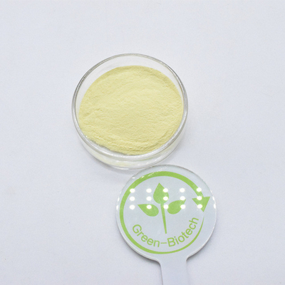 Cung cấp Kava gốc chiết xuất bột Kavalactones Kava 20% 30% chiết xuất bột