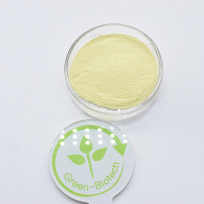 Sản xuất nhà máy Lượng thực phẩm 30% 50% Kavalactone Kava gốc chiết xuất bột