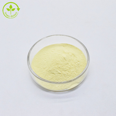 Đồ bán buôn chất hữu cơ tự nhiên 30% chiết xuất Kava bột Kavalactone chiết xuất Kava