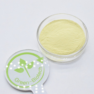 Đồ bán buôn chất hữu cơ tự nhiên 30% chiết xuất Kava bột Kavalactone chiết xuất Kava