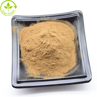 Đồ bán buôn màu vàng nâu Dendrobium Nobile chiết xuất bột 20:1