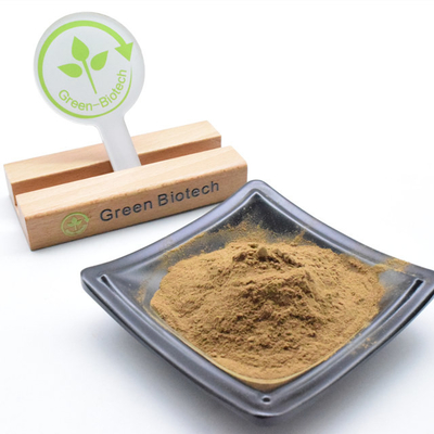 Sản xuất nhà máy Dendrobium Officinale chiết xuất Dendrobium Candidum chiết xuất đặc bột