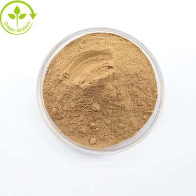Dendrobium Candidum bột số lượng lớn Dendrobium Officinale tinh khiết tinh khiết