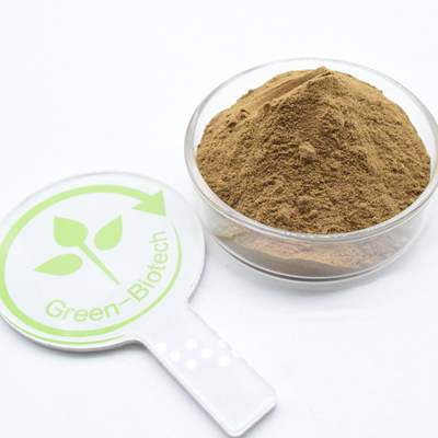 Cung cấp Dendrobii tự nhiên tinh khiết Dendrobium Nobile Dendrobe chiết xuất bột