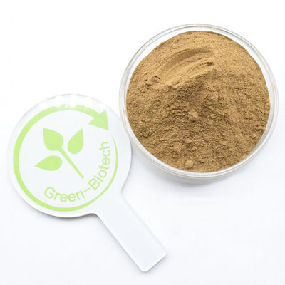 Dendrobine bột chiết xuất Dendrobium tự nhiên tinh khiết chất lượng cao