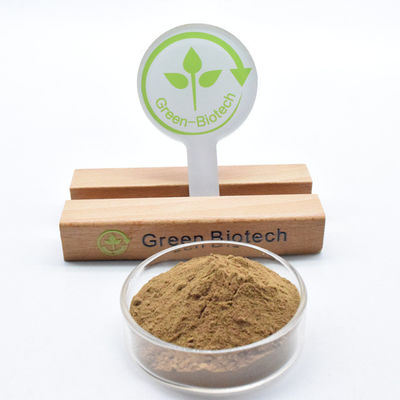 Dendrobine bột chiết xuất Dendrobium tự nhiên tinh khiết chất lượng cao