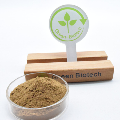 Nhà sản xuất Bột chiết xuất Dendrobium màu vàng nâu