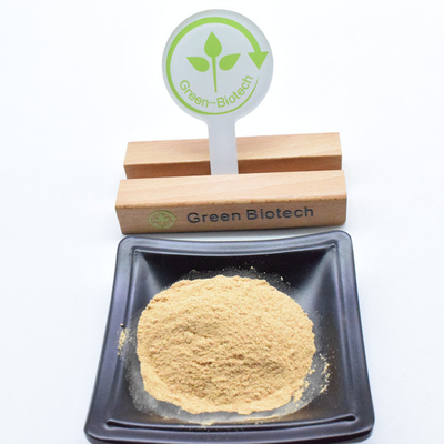 Ecdysterone 90% Beta-Ecdysterone Nhà máy cung cấp chiết xuất Dewweed