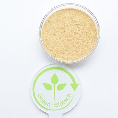 HPLC 90% Cyanotis Arachnoidea Extract Beta Ecdysterone Bột Hydroxyecdysone