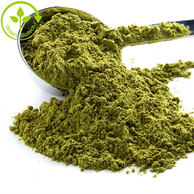 Cung cấp bột matcha tự nhiên tinh khiết chất lượng cao từ Green Biotech