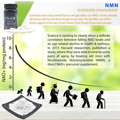 Cellular Repair White Fine Pure NMN Powder 25kg Chống lão hóa 99%