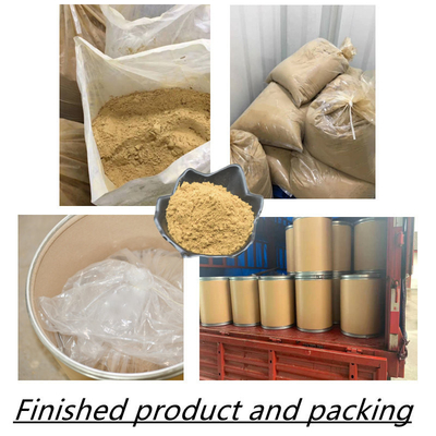 80 Mesh Bột chiết xuất rễ nhân sâm 1% -80% chiết xuất thực vật tự nhiên