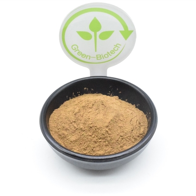 Xây dựng cơ thể Bột chiết xuất Ajuga Turkestanica Bột chiết xuất thực vật 500mg 750mg 1000mg