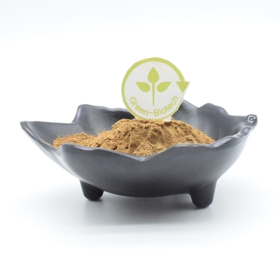 Xây dựng cơ thể Bột chiết xuất Ajuga Turkestanica Bột chiết xuất thực vật 500mg 750mg 1000mg
