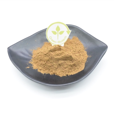 10% bột chiết xuất thực vật Turkesterone