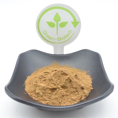 Chức năng Ajuga Turkestanica Powder 750mg 1000mg Plant Extract Powder