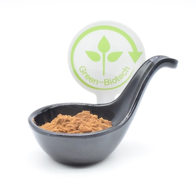 Bổ sung thể thao Ajuga turkest chiết xuất thể hình 2% 250mg 350mg 500mg