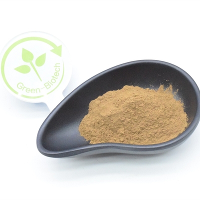 2% Turkesterone Chiết xuất thực vật tự nhiên Bột chống nấm Thuốc lợi tiểu hiệu quả